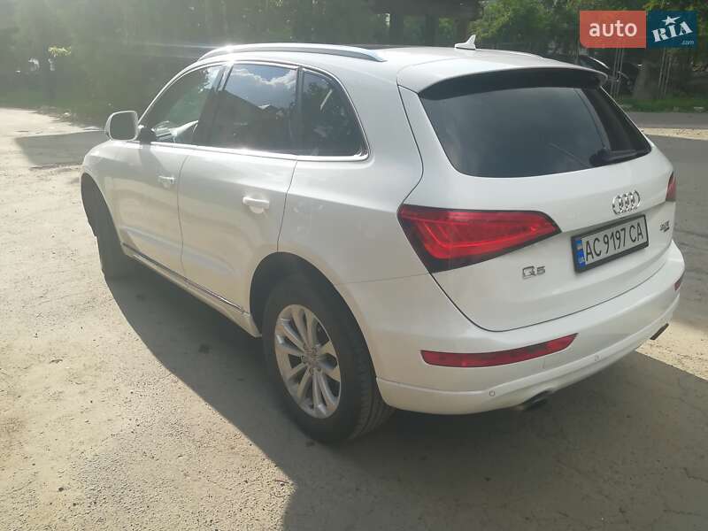 Позашляховик / Кросовер Audi Q5 2013 в Луцьку фото 3 Позашляховик / Кросовер Audi Q5 2013 в Луцьку