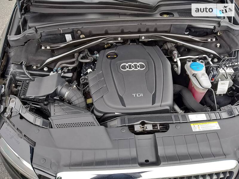 Внедорожник / Кроссовер Audi Q5 2010 в Дубно