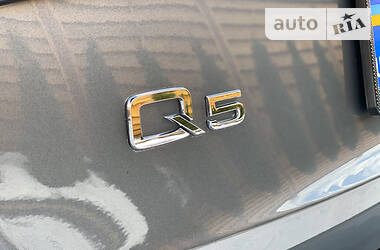 Внедорожник / Кроссовер Audi Q5 2013 в Звягеле