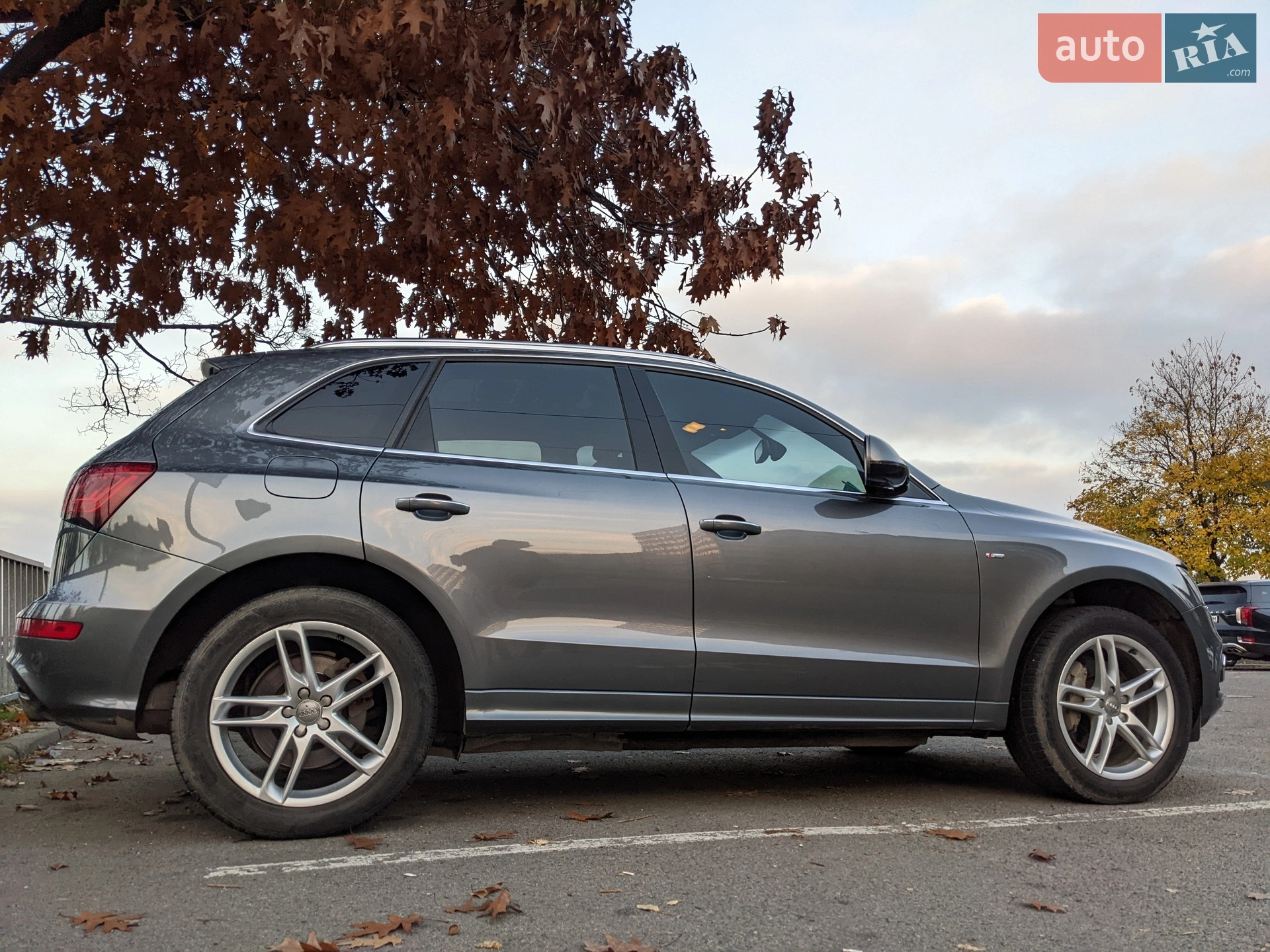 2015 Audi Q5 - мініатюра 7