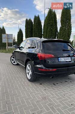 Позашляховик / Кросовер Audi Q5 2009 в Кременці