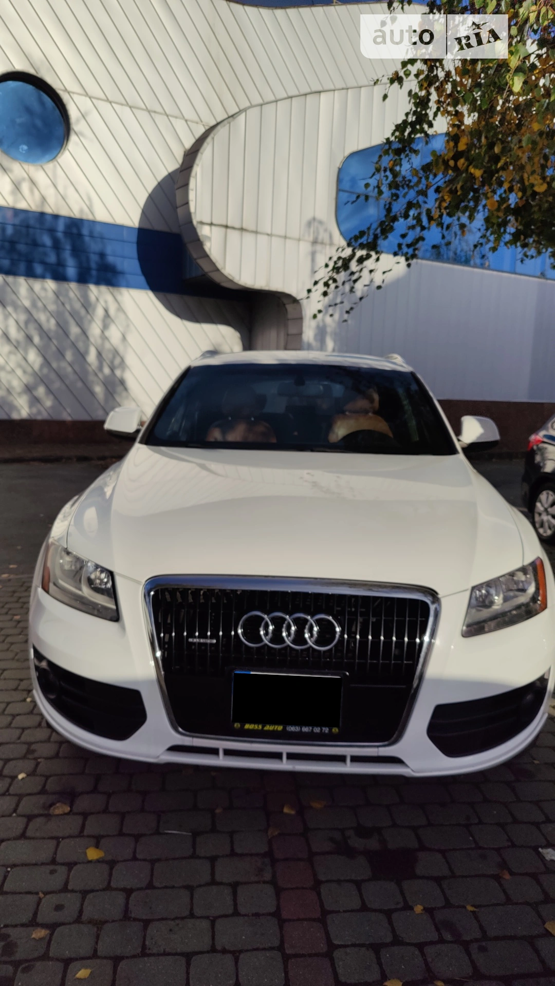 2010 Audi Q5 - мініатюра 2