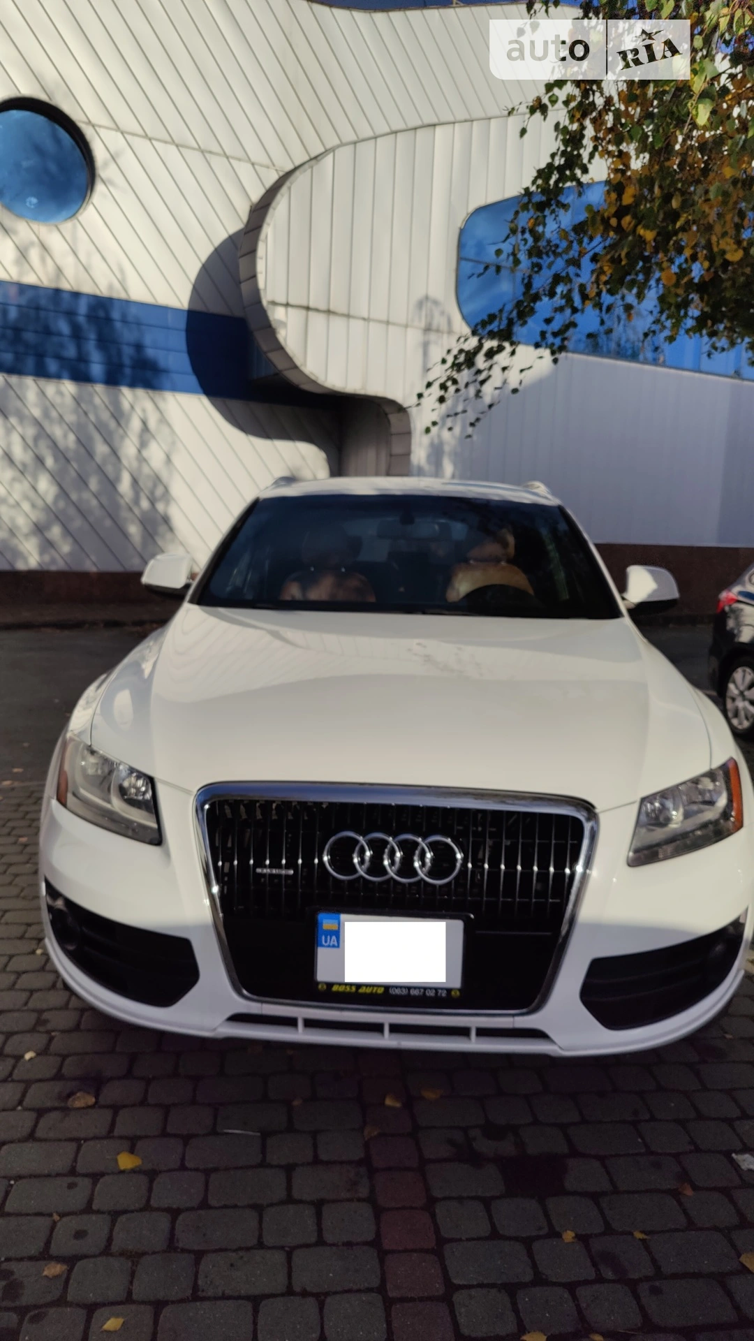 2010 Audi Q5 - мініатюра 4