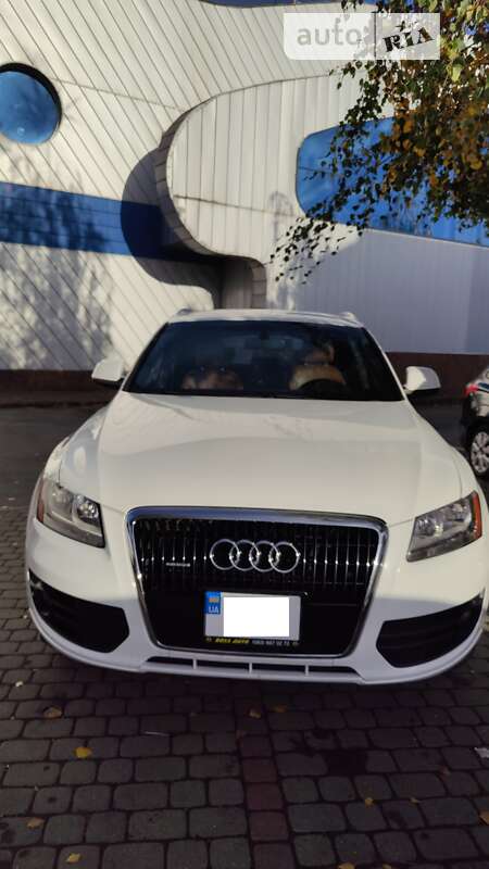 Внедорожник / Кроссовер Audi Q5 2010 в Ужгороде