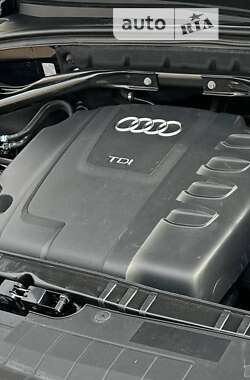 Внедорожник / Кроссовер Audi Q5 2009 в Бердичеве