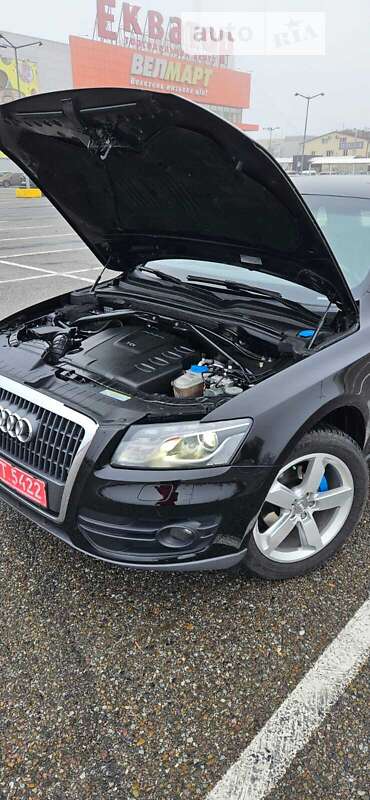 Внедорожник / Кроссовер Audi Q5 2009 в Львове