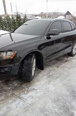 Внедорожник / Кроссовер Audi Q5 2010 в Яворове