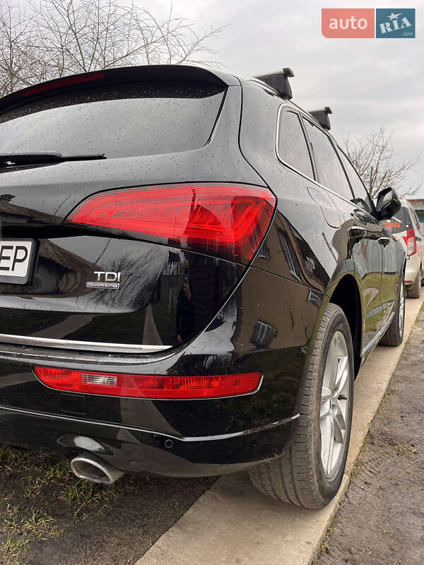 Внедорожник / Кроссовер Audi Q5 2015 в Радехове фото 6 Внедорожник / Кроссовер Audi Q5 2015 в Радехове