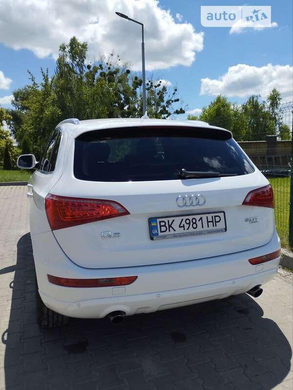 Внедорожник / Кроссовер Audi Q5 2009 в Дубно