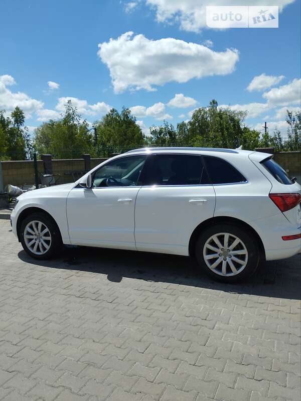 Внедорожник / Кроссовер Audi Q5 2009 в Дубно