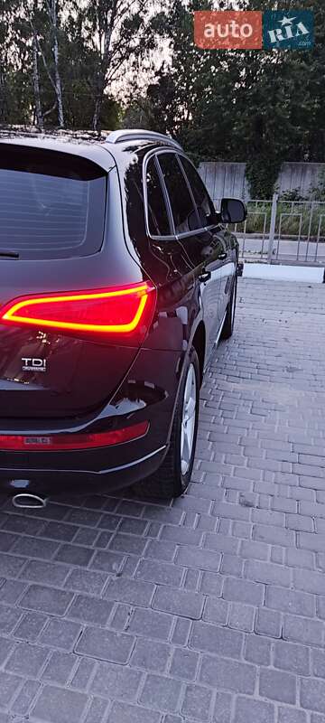 Внедорожник / Кроссовер Audi Q5 2014 в Сумах