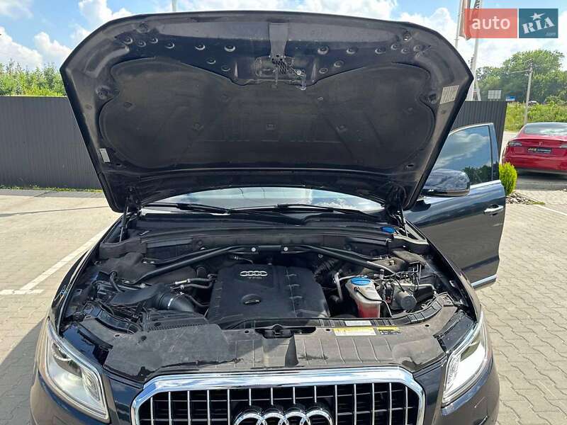 Внедорожник / Кроссовер Audi Q5 2015 в Львове фото 12 Внедорожник / Кроссовер Audi Q5 2015 в Львове