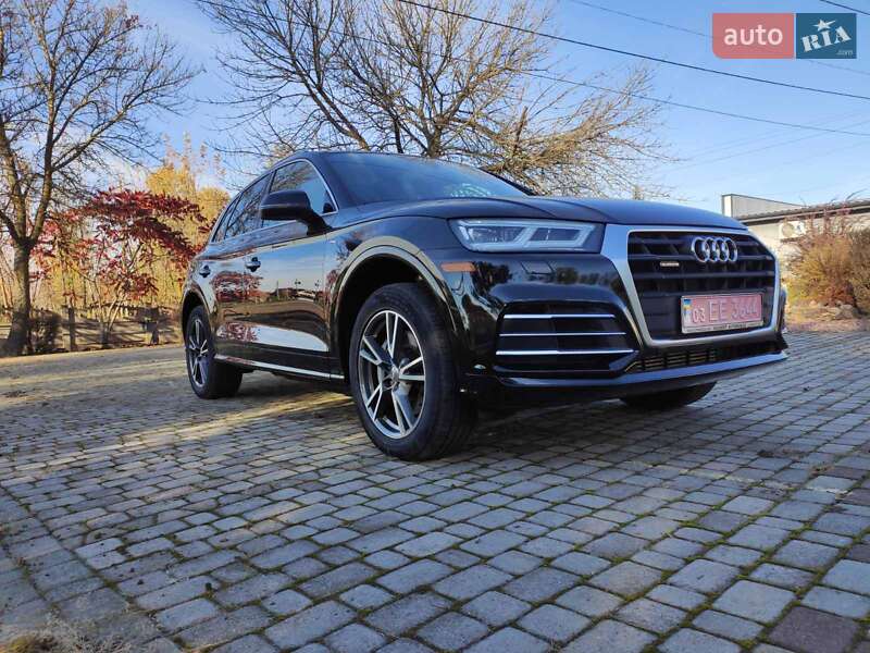 Внедорожник / Кроссовер Audi Q5 2020 в Нововолынске