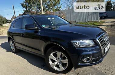 Внедорожник / Кроссовер Audi Q5 2009 в Ивано-Франковске