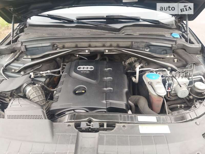 Внедорожник / Кроссовер Audi Q5 2011 в Житомире