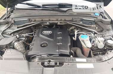 Внедорожник / Кроссовер Audi Q5 2011 в 