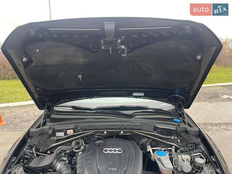 Внедорожник / Кроссовер Audi Q5 2011 в Ужгороде