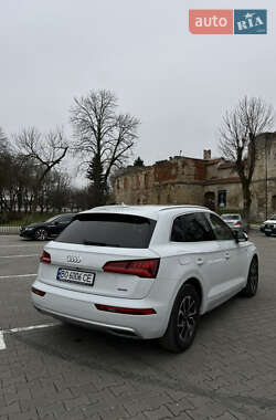 Внедорожник / Кроссовер Audi Q5 2019 в Бережанах