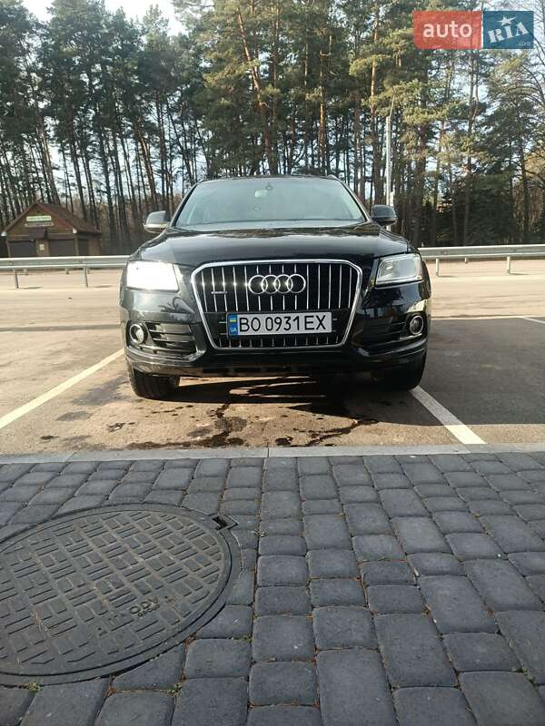 Audi Q5 2013
