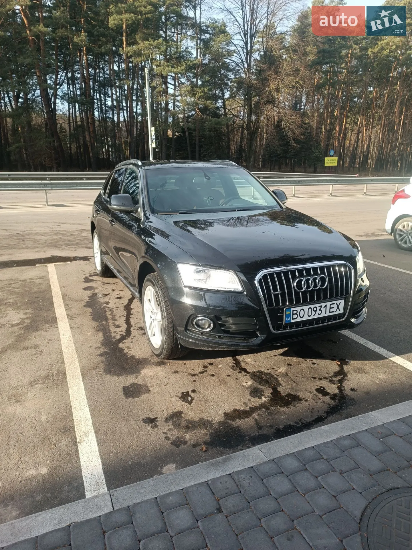 2013 Audi Q5 - мініатюра 3