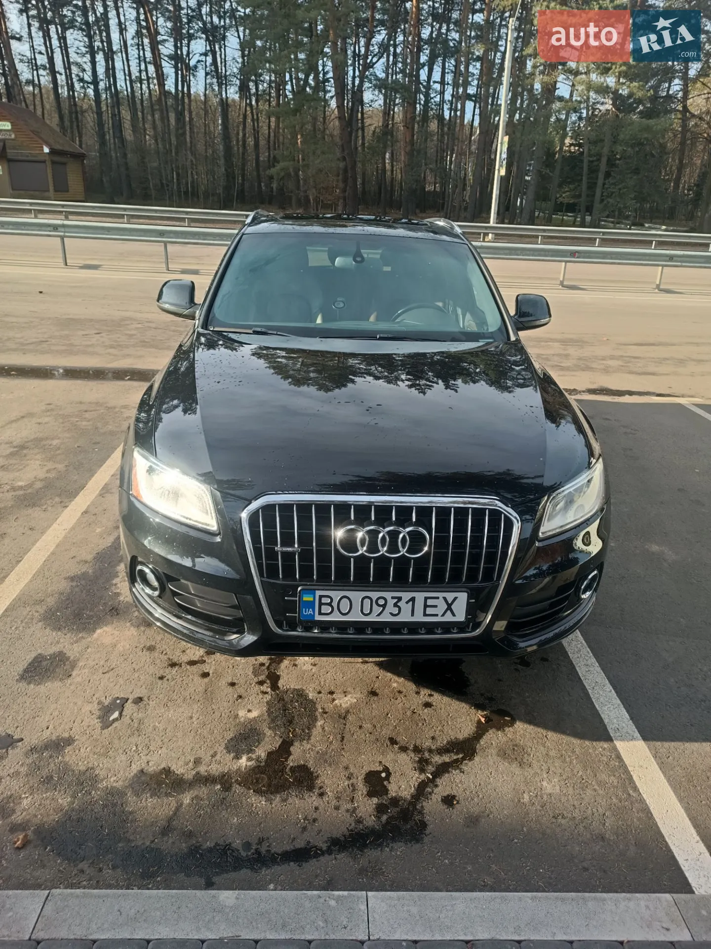 2013 Audi Q5 - мініатюра 2
