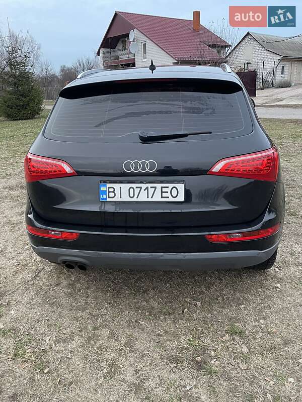 Внедорожник / Кроссовер Audi Q5 2009 в Лохвице