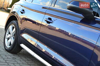 Внедорожник / Кроссовер Audi Q5 2017 в 