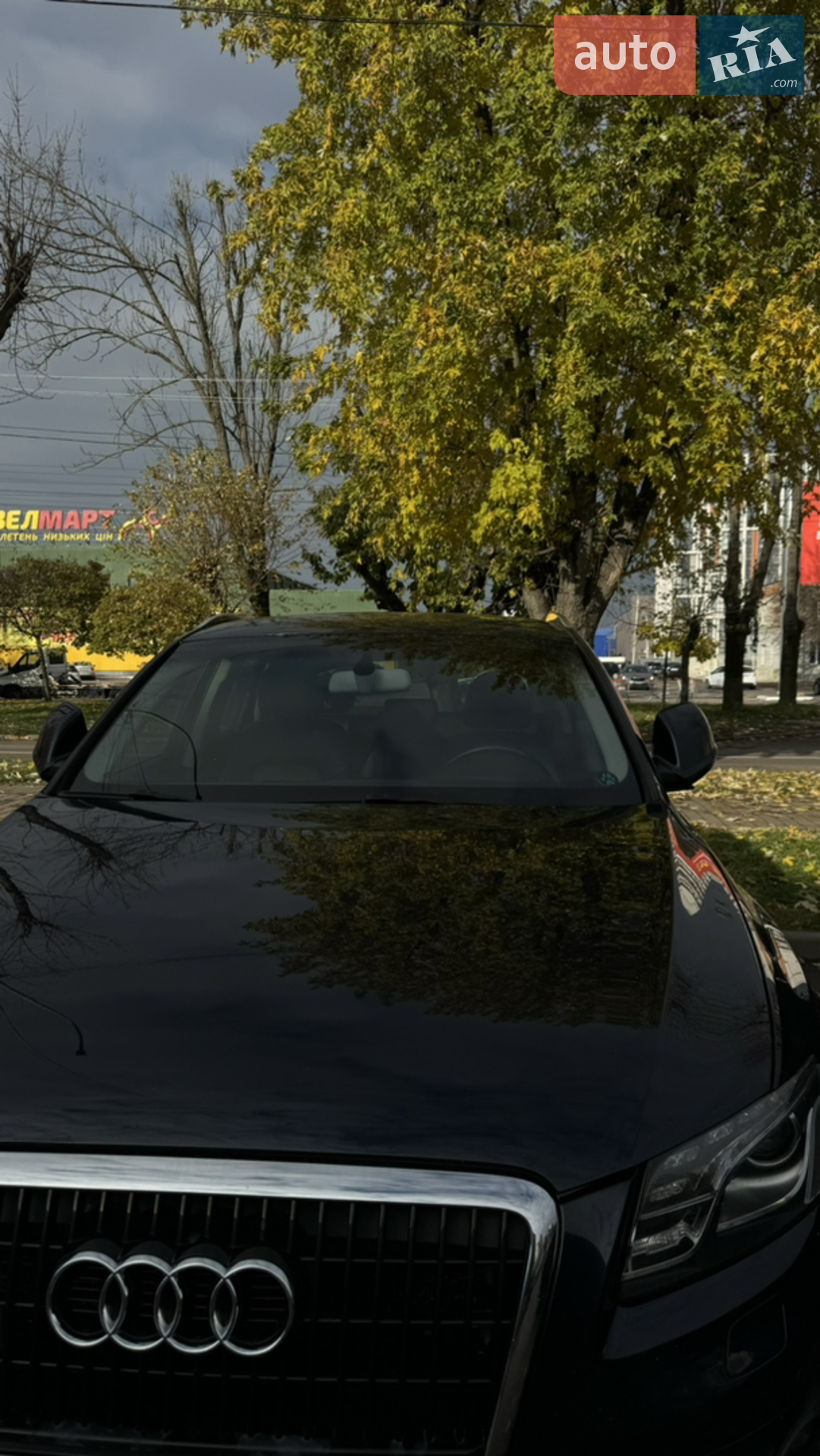 2010 Audi Q5 - мініатюра 3