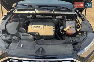 Внедорожник / Кроссовер Audi Q5 2023 в 