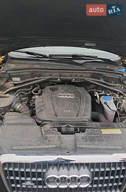 Внедорожник / Кроссовер Audi Q5 2011 в 