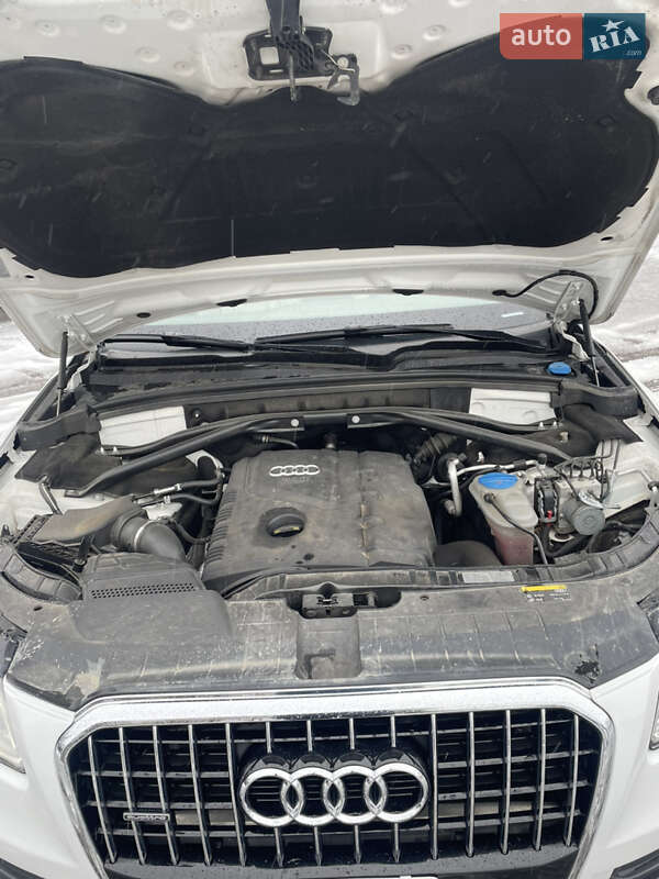 Внедорожник / Кроссовер Audi Q5 2014 в Львове фото 30 Внедорожник / Кроссовер Audi Q5 2014 в Львове