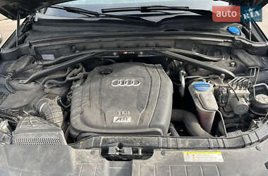 Внедорожник / Кроссовер Audi Q5 2011 в 
