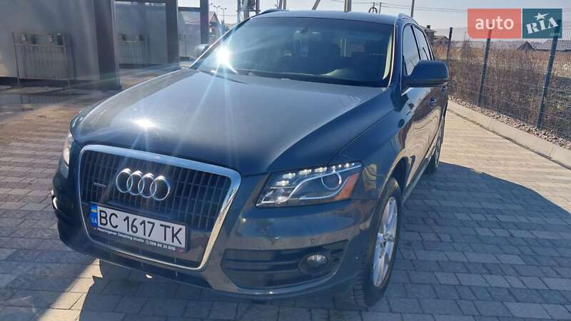 Audi Q5 2010