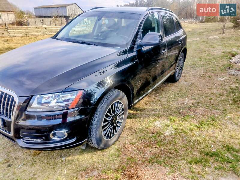 Позашляховик / Кросовер Audi Q5 2012 в Житомирі фото 8 Позашляховик / Кросовер Audi Q5 2012 в Житомирі