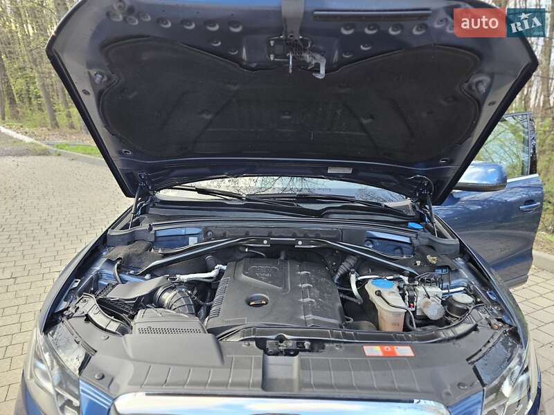 Внедорожник / Кроссовер Audi Q5 2008 в Ужгороде