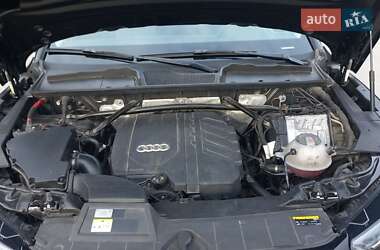 Внедорожник / Кроссовер Audi Q5 2022 в 