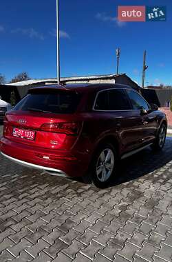 Внедорожник / Кроссовер Audi Q5 2017 в Луцке