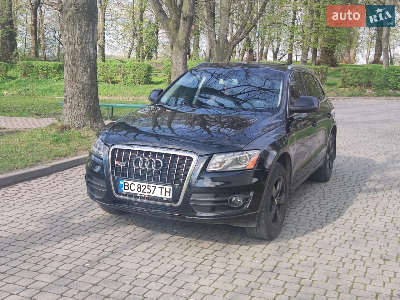 2010 Audi Q5 - мініатюра 22