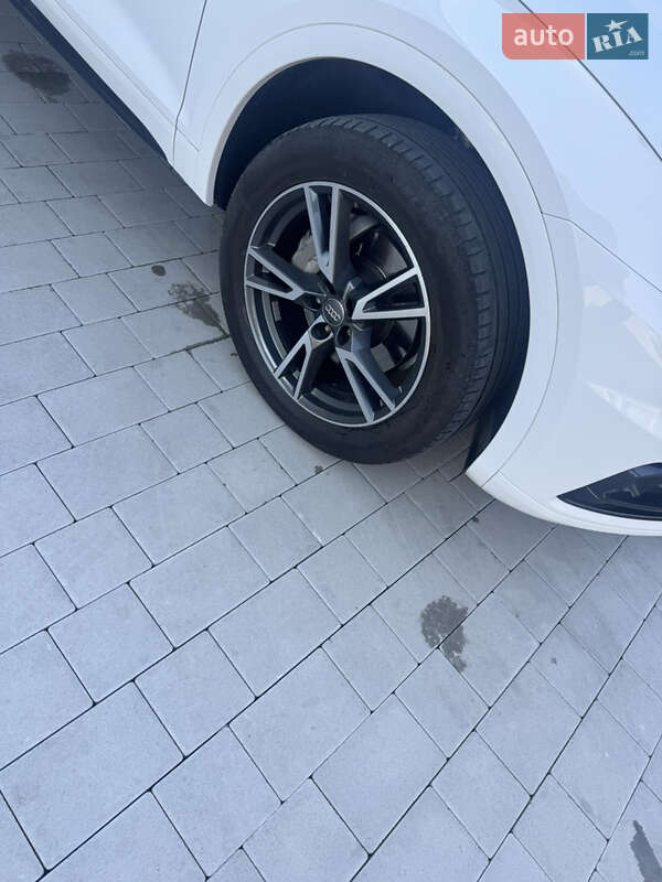 Внедорожник / Кроссовер Audi Q5 2019 в Каменец-Подольском