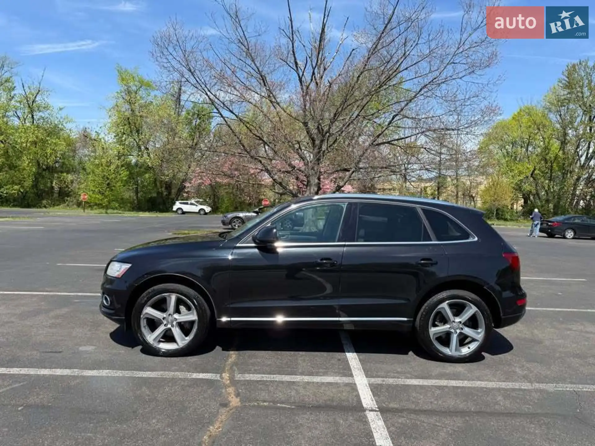2014 Audi Q5 - мініатюра 4