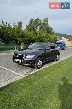 Внедорожник / Кроссовер Audi Q5 2010 в 