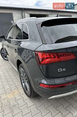 Внедорожник / Кроссовер Audi Q5 2019 в 