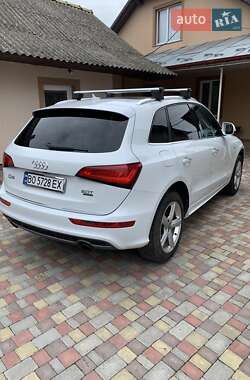 Внедорожник / Кроссовер Audi Q5 2017 в 