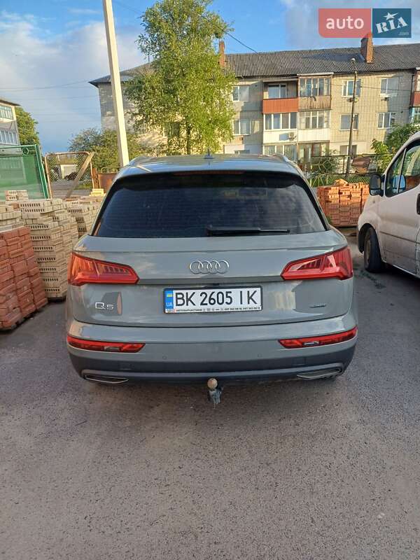 Внедорожник / Кроссовер Audi Q5 2019 в Сарнах