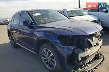 Внедорожник / Кроссовер Audi Q5 2022 в 