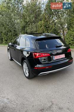 Внедорожник / Кроссовер Audi Q5 2019 в 