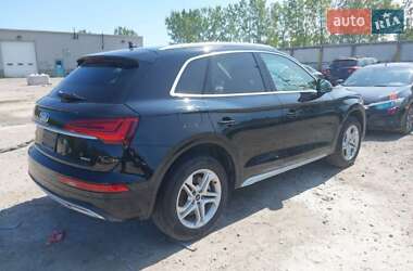 Внедорожник / Кроссовер Audi Q5 2023 в 