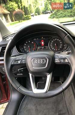Внедорожник / Кроссовер Audi Q5 2020 в 