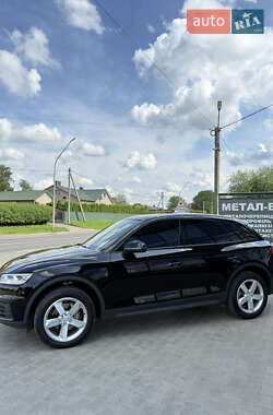 Внедорожник / Кроссовер Audi Q5 2019 в 