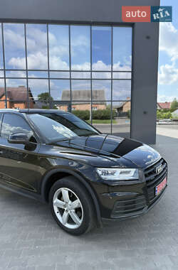 Внедорожник / Кроссовер Audi Q5 2019 в 